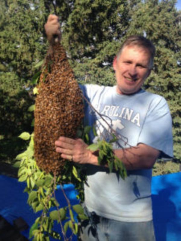 Beginning Beekeeping: Getting Started with Urban Beekeeping - Image 5