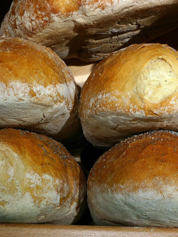 Beginning Bread Making