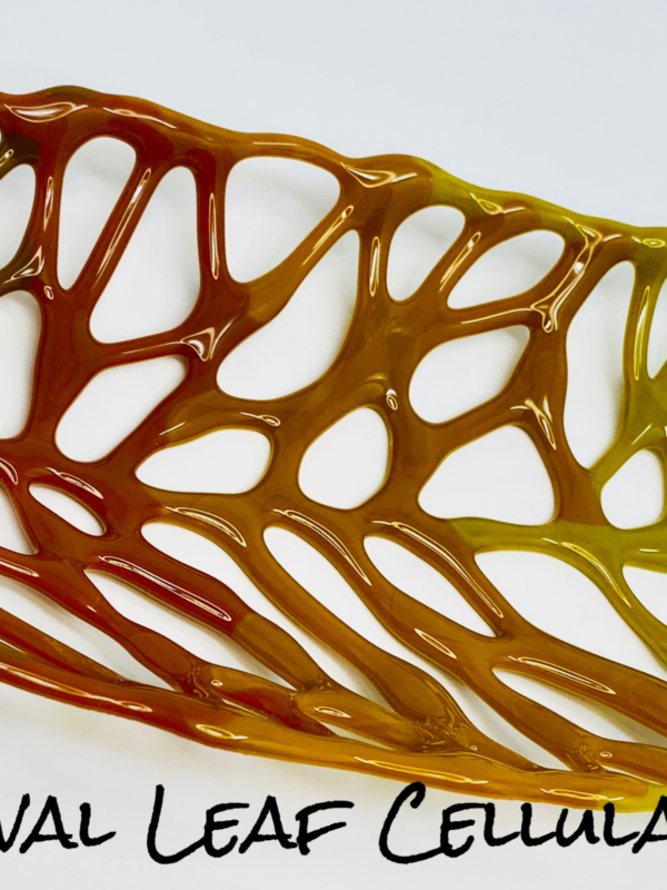 How to Make Cellular Art Fused Glass Structures - Image 5