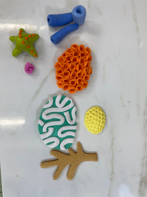 Under the Sea: Polymer Clay Coral Reef - Image 5