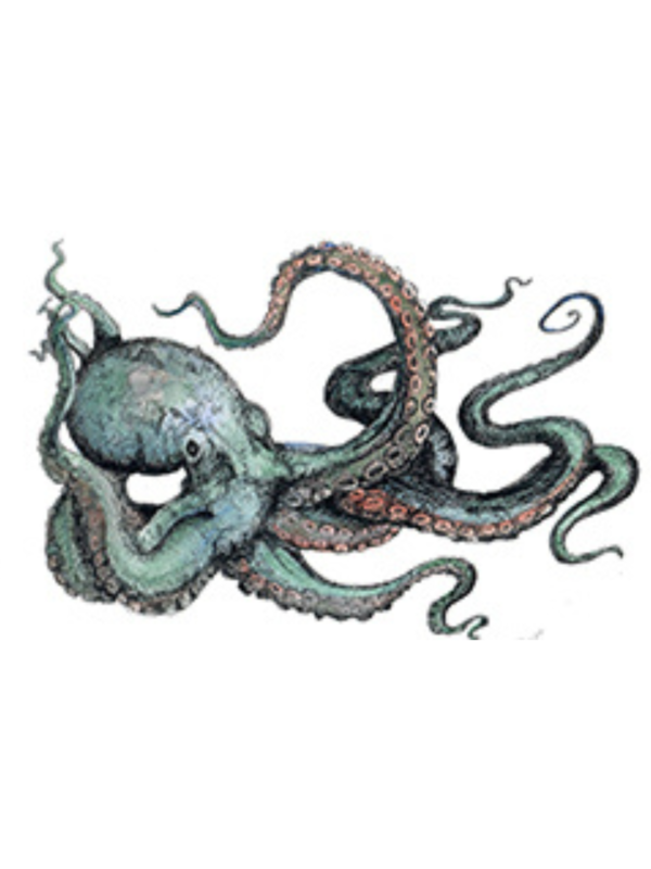 Detailed Animal Drawing in Pen and Watercolor - Image 4
