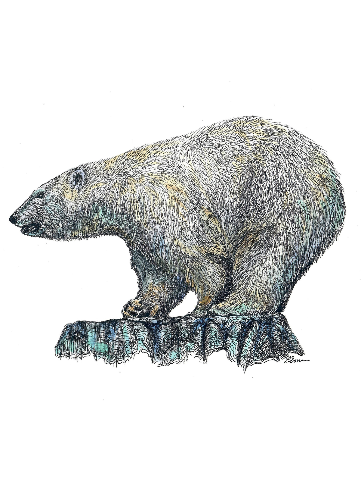 Detailed Animal Drawing in Pen and Watercolor | Curious Mondo Detailed Animal Drawing in Pen and Watercolor | Curious Mondo