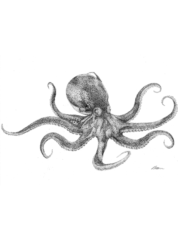 Detailed Animal Drawing in Pen and Watercolor - Image 3