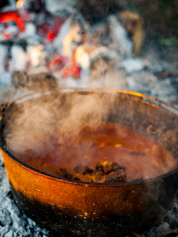 Dutch Oven Cooking and Roughing it Easy