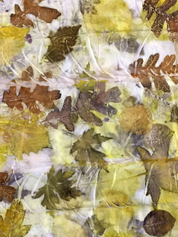 Leaf Prints on Cloth - Image 5