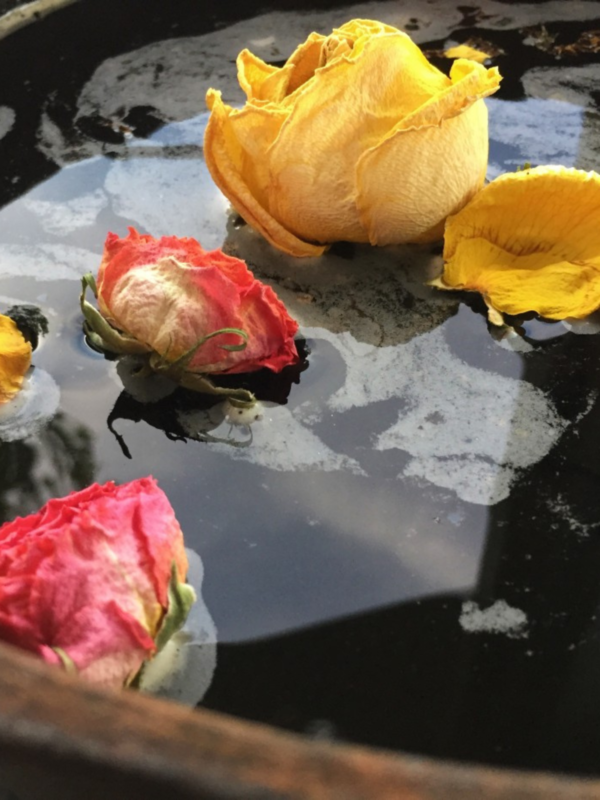 Natural Bundle Dyeing Workshop