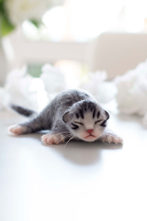 How to Make a Needle Felted Newborn Kitty