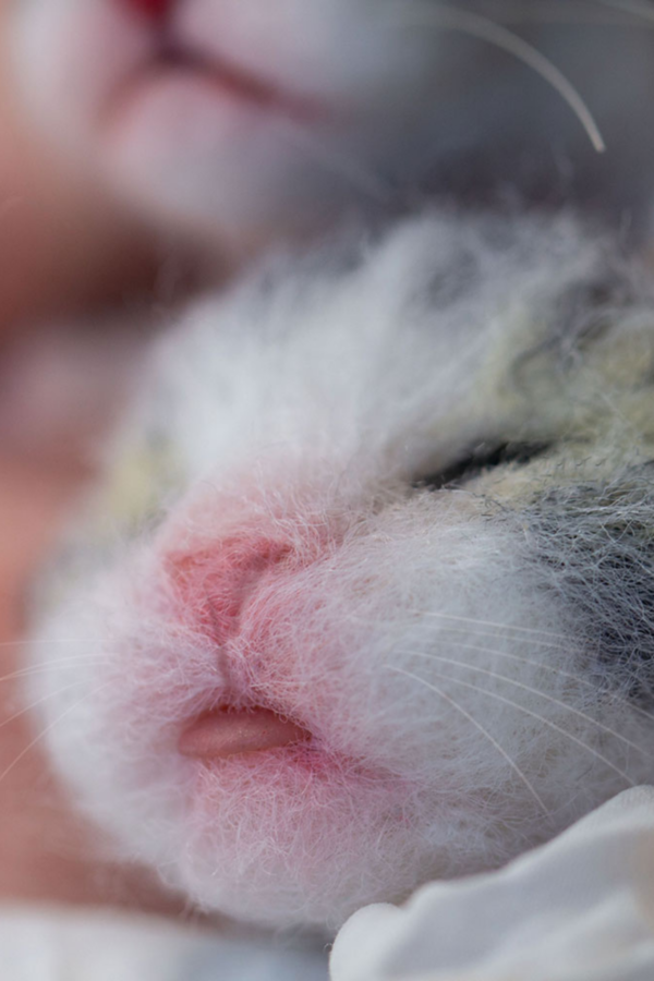 How to Make a Needle Felted Newborn Kitty - Image 3