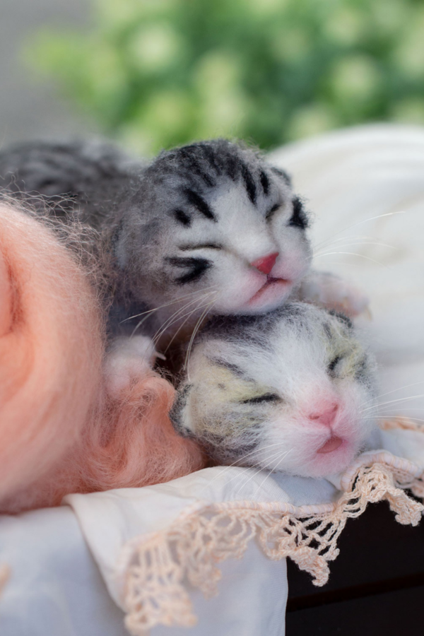 How to Make a Needle Felted Newborn Kitty - Image 4