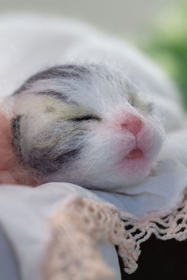 How to Make a Needle Felted Newborn Kitty - Image 5