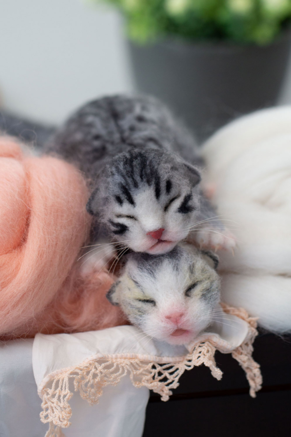 How to Make a Needle Felted Newborn Kitty