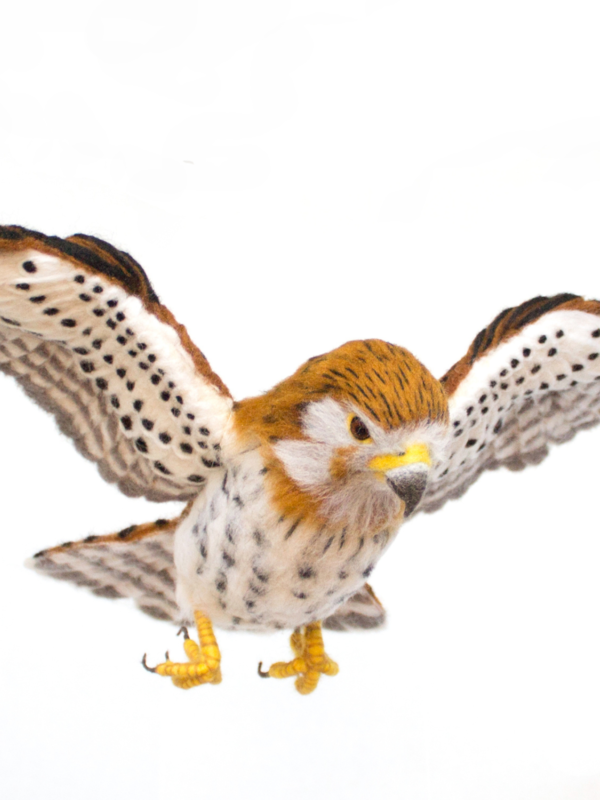 Needle Felting Open-Winged Birds: Needle Felted Mauritius Kestrel
