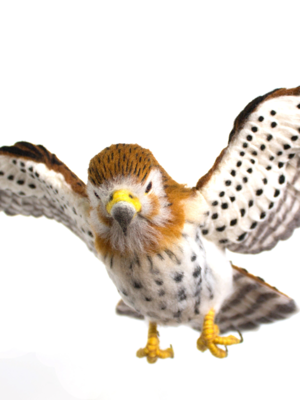 Needle Felting Open-Winged Birds: Needle Felted Mauritius Kestrel