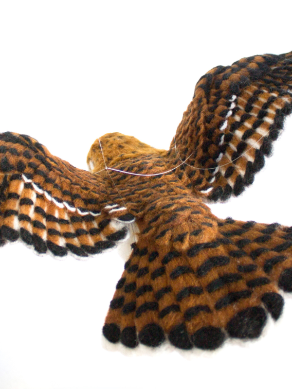 Needle Felting Open-Winged Birds: Needle Felted Mauritius Kestrel - Image 3
