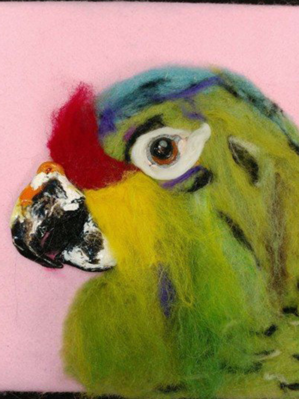 Creating Paintings with Wool