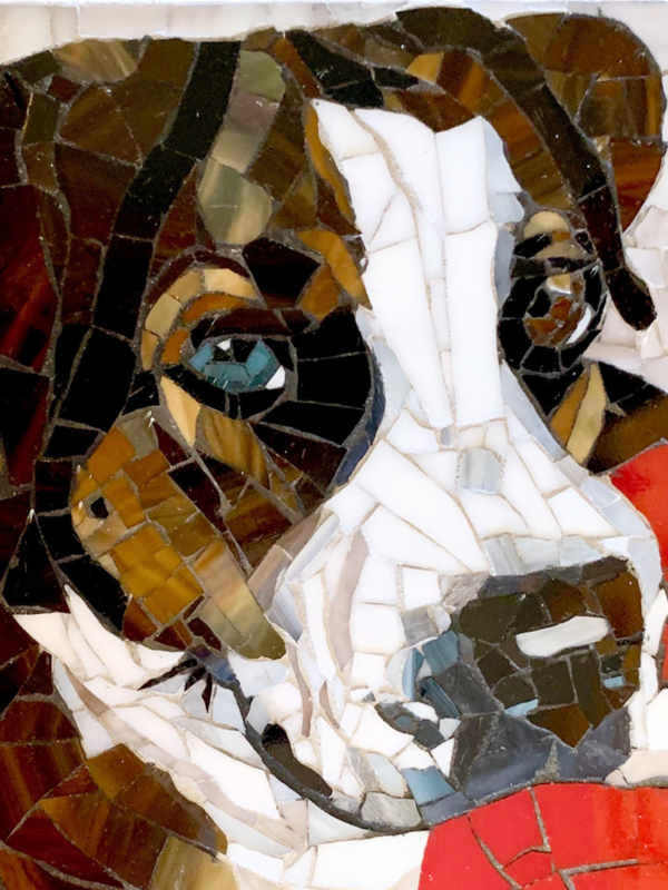 How to Make a Glass on Glass Mosaic Pet Portrait
