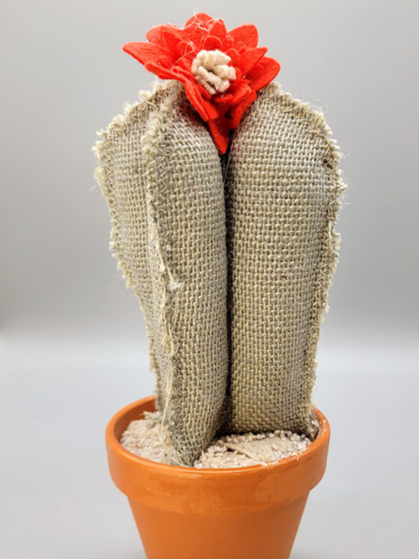 Fast Track: How to Make Textile Cacti