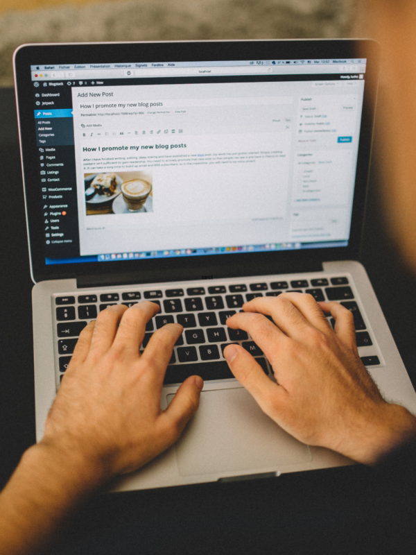 How to Build and Update Wordpress Sites - Image 3