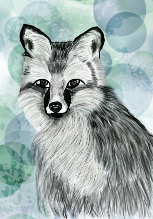 Mastering the Basics of Drawing with Procreate: Photos to Digital Art-for Ipad Users