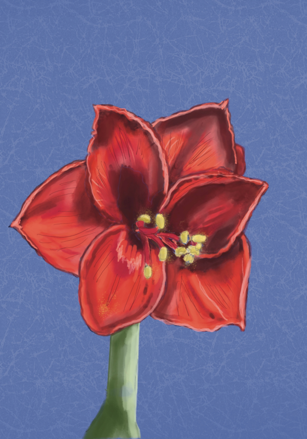 Mastering the Basics of Drawing with Procreate: Photos to Digital Art-for Ipad Users - Image 3
