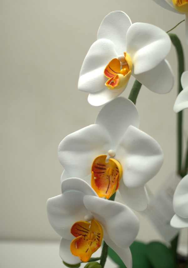How to Make Realistic Orchids in Craft Foam