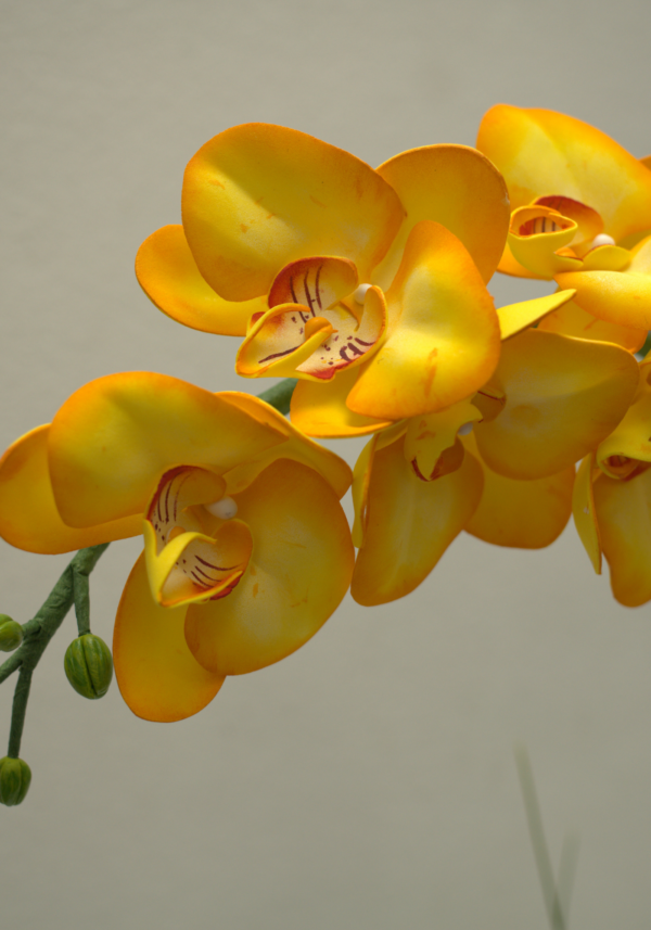 How to Make Realistic Orchids in Craft Foam