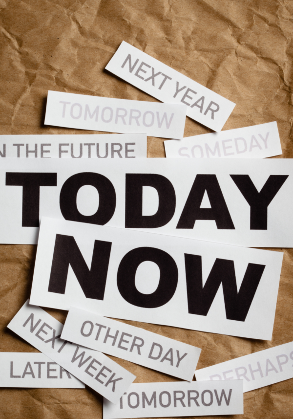 Mastering Procrastination: Understanding and Practical Strategies (Dominando a Procrastinação: Compreensão e Estratégias Práticas) - Image 3