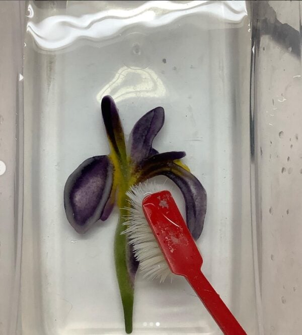Kiln Cast Glass: Bas Relief Tiles - Image 3